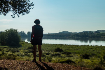 Fototapeta premium Camino de Santiago