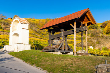 wine region Wachau at wine harvest time in Austria