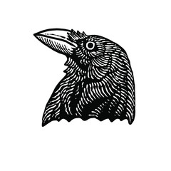 Raven Crow Vector Illustration