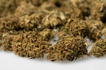 Fototapeta premium CBD - Legal marijuana