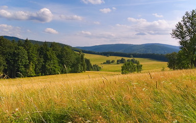 Summer landscape in the mountains. Summer landscape in the mountains. Golden Mountains. Sudetes. Czech Republic.