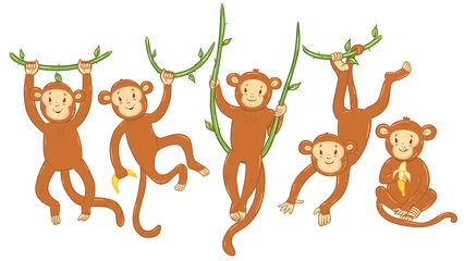 Fotobehang Aap Set van schattige apen geïsoleerd op een witte achtergrond. Vectorafbeeldingen.