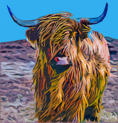 scottish highland cow - 347552911