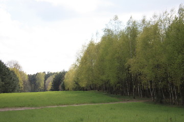 Fototapeta premium landscape