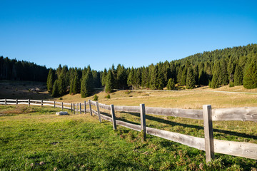 A rural fence with pastures in the Trentino Dolomites. Wooden boards aged by the sun and rain. An...