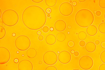 Image from microscopy of beer drops in the microscopic slide.Abstract beer bubbles.Mixed and different shape background in the yellow tone.