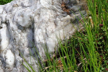 Rocce di quarzo sui prati del Gottardo