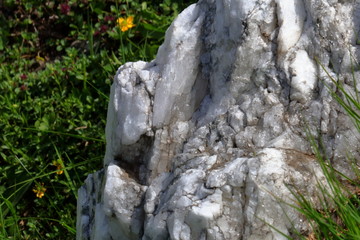 Rocce di quarzo sui prati del Gottardo