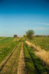 Fototapeta na wymiar Rural Idyllic Landscape In Germany