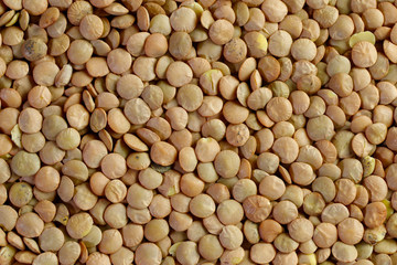 Lentils. Food background. Background texture of grains of green lentils. Top view on lentil grains. Close-up, horizontal, top view. The concept of a healthy diet and agriculture.