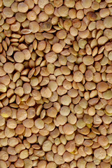 Lentils. Food background. Background texture of grains of green lentils. Top view on lentil grains. Close up, vertical, top view. The concept of a healthy diet and agriculture.