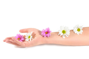 Hand care concept, anti wrinkle. Female hand and colors on a hand on a white background. Skin care.