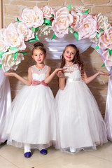 Portrait of two attractive princess in white dress with diamond diadem on the background of flower...