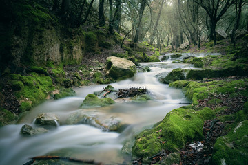 Obraz premium Salt des Freu