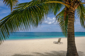 A sole chaise lounge chair sits on an empty beautiful clear and turquoise water beach on the Cayman Islands near a small grove of palm trees