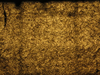 Matière indéterminée claire