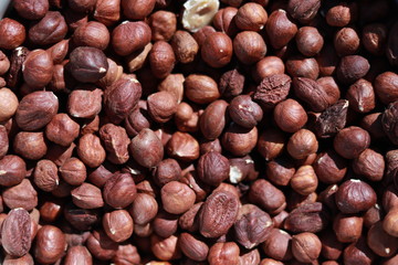 hazelnut kernels in a white ceramic plate in sunlight