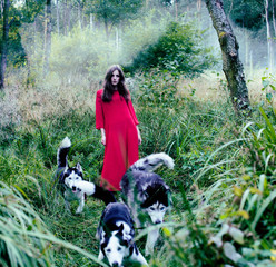 Naklejka na ściany i meble Mysterious woman in red dress with tree wolfs, forest, husky dogs mystery portrait