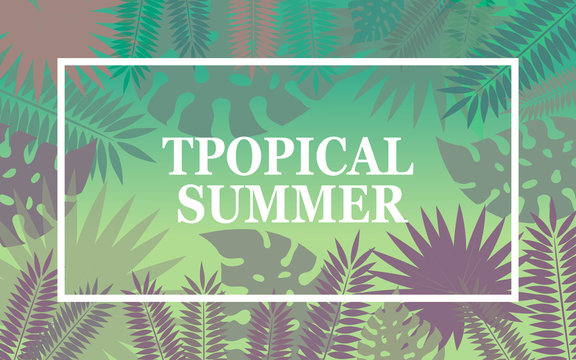Summer tropical banner with palm leaves and exotic plants. .Vector illustration for background, wallpaper