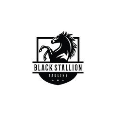 Black Stallion logo design. Awesome a black stallion silhoutte. A black stallion logotype.