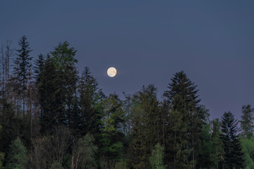 Obraz premium Before sunrise with moon and pasture land near Valasska Polanka village
