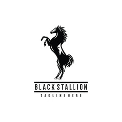 Black Stallion logo design. Awesome a black stallion silhoutte. A black stallion logotype.