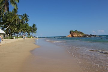 Obraz premium tropical beach with palm trees