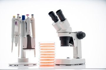 microscope, petri dishes and pipette stand by microbiological laboratory