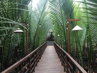 Obraz premium bridge in the park