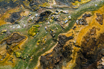 Close-up Detail of  Bright Green and Yellow Pattern of Geothermal Deposits