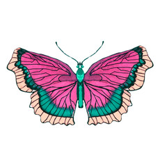 Beautiful watercolor butterfly on a white background. Wings with colorful patterns.