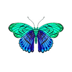 Beautiful watercolor butterfly on a white background. Wings with colorful patterns.