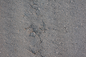 texture of old gray asphalt with a crack