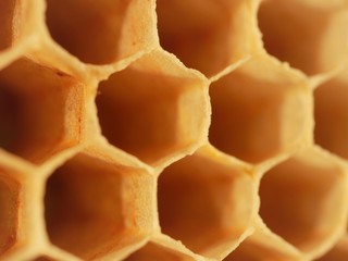 Close up of bee hive honey bee hexagonal cells