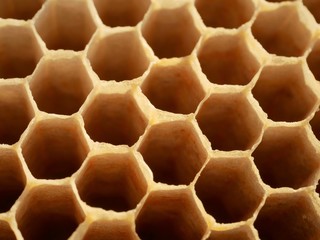 Close up of bee hive honey bee hexagonal cells