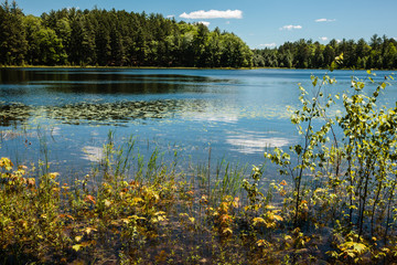 Fototapeta na wymiar Mid-day in June at Little John Junior Lake, in Vilas County, near Sayner, Wisconsin
