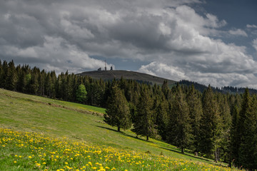 Blick zum Feldberg