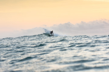 Naklejka premium Surf brazil sunset beach 