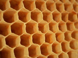 Close up of bee hive honey bee hexagonal cells