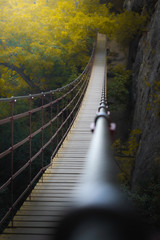 Fototapeta premium puente colgante de madera entre arboles y naturaleza