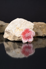 Still-life of an artificial almond flower, behind is a white marble stone, the composition is reflected against a dark glossy background.