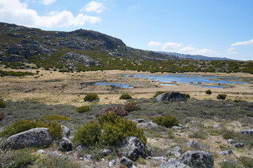 Fototapeta na wymiar Landscape in Lagoa Seca Serra da Estrela, Portugal