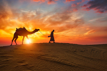 Indian cameleer (camel driver) bedouin with camel silhouettes in sand dunes of Thar desert on...