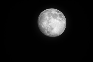 Full Moon in black night sky, only natural satellite of the Earth. Visible craters and surface of...