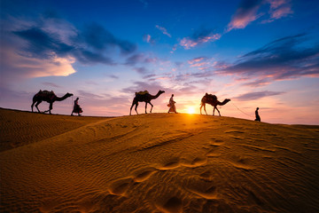 Indian cameleers (camel driver) bedouin with camel silhouettes in sand dunes of Thar desert on sunset. Caravan in Rajasthan travel tourism background safari adventure. Jaisalmer, Rajasthan, India - 347573743