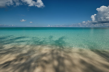 Fototapeta premium Crystal clear waters and pinkish sands on empty seven mile beach on tropical carribean Grand Cayman Island