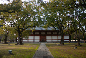 A path leading to a building in Toji Temple area in Kyoto in Japan in early spring