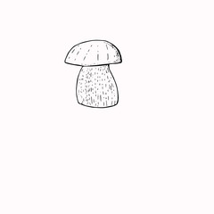 Mushroom vector. Autumn mood isolated line collection of icons, prints, banner, poster, greeting card design element