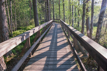 A wooden bridge over swamps in sweden. Store Mosse National Park. Green forest.