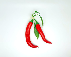 Red hot pepper with green leaf and flower. On white background